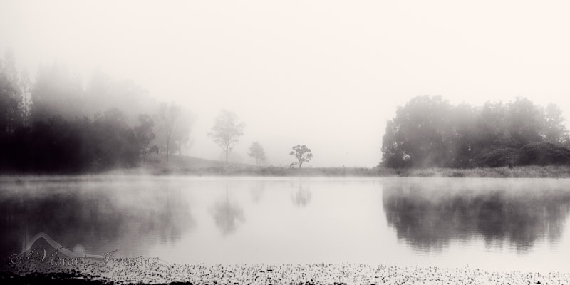 Misty landscape